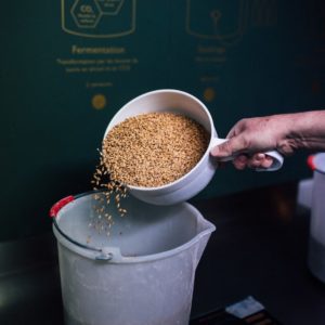 Photo-ingredients-de-brassage-min Ingrédients versés dans un bécher, pour fabriquer sa bière