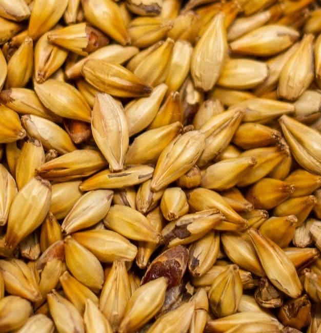 cereales-pour-bieres-lbf Production de futs de bière personnalisée