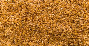 concassage du malt