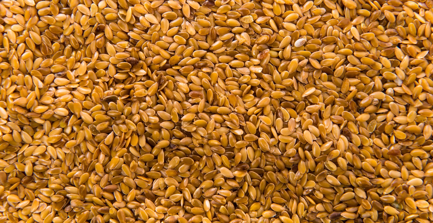 concassage du malt